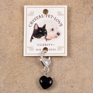 Obsidian Pendant for pets by Jenny Schiltz