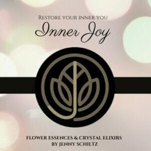 Inner Joy - This tincture is designed to help you align with your passions and joy
