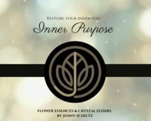 Inner Purpose - This tincture helps you to align to your Soul and your path