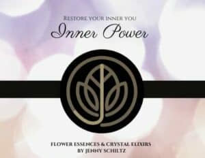 Inner power - This tincture helps you to embody all that you are and take action steps towards creating the life you want.