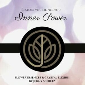 Inner power - This tincture helps you to embody all that you are and take action steps towards creating the life you want.