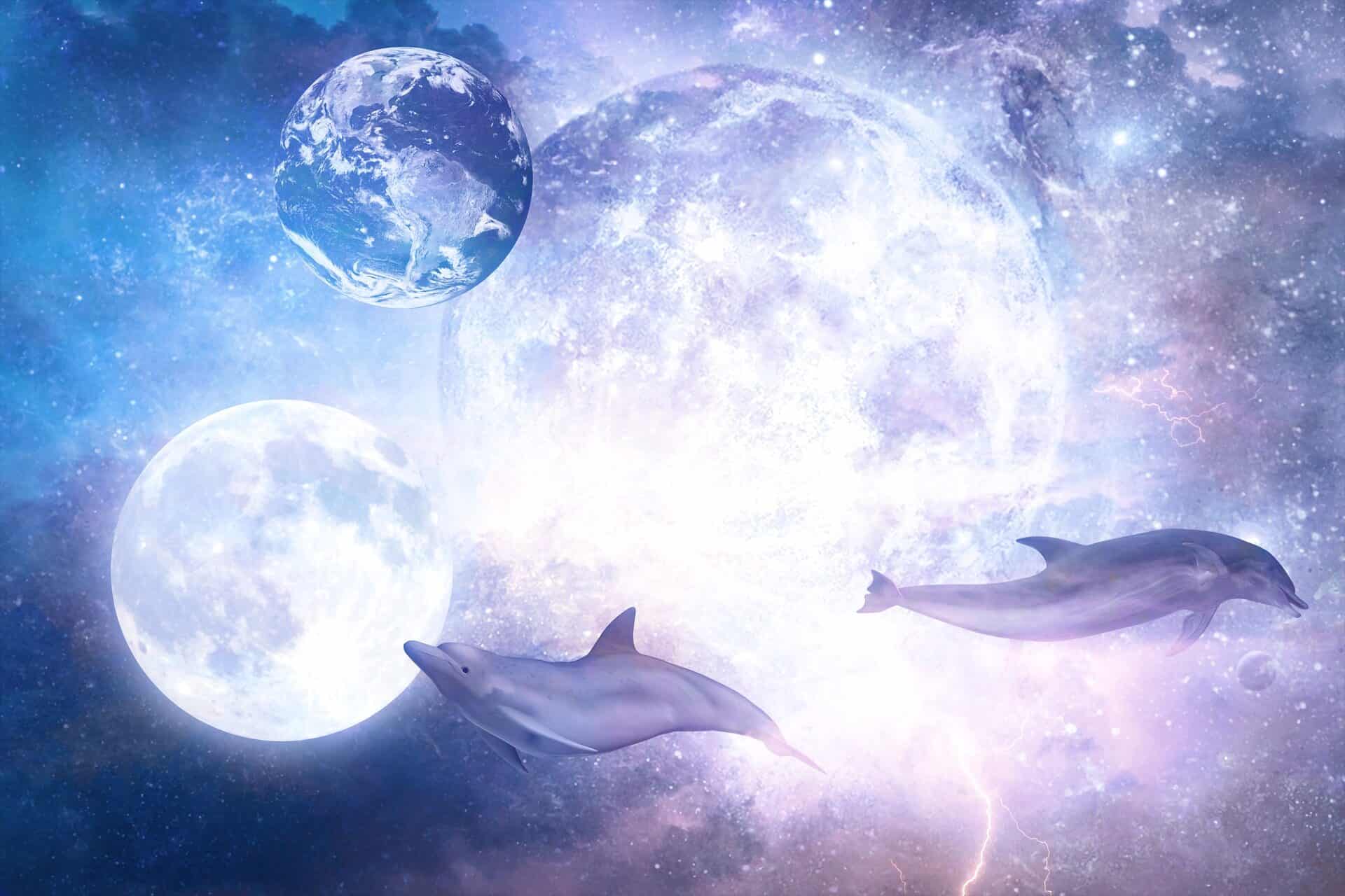 Луна дельфины слушать. Дельфины в космосе. Луна дельфины. Луна море дельфины. Дельфины ночью.